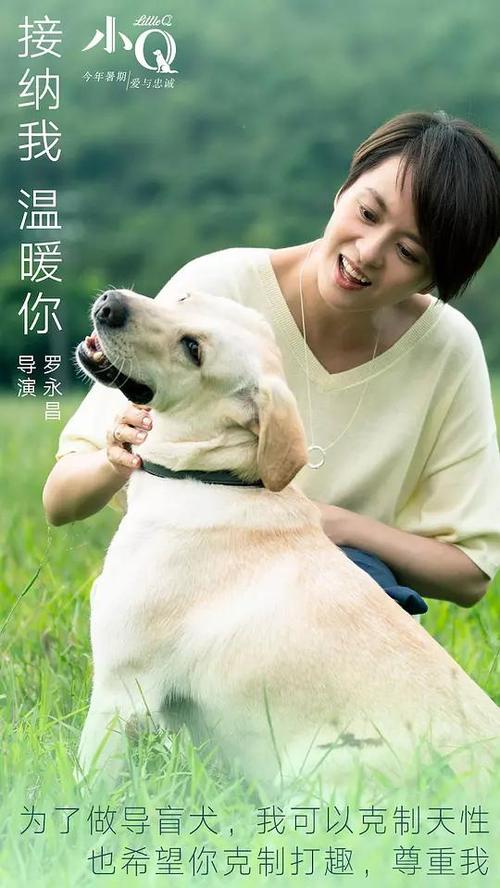 新罕布什尔大学成绩单办理